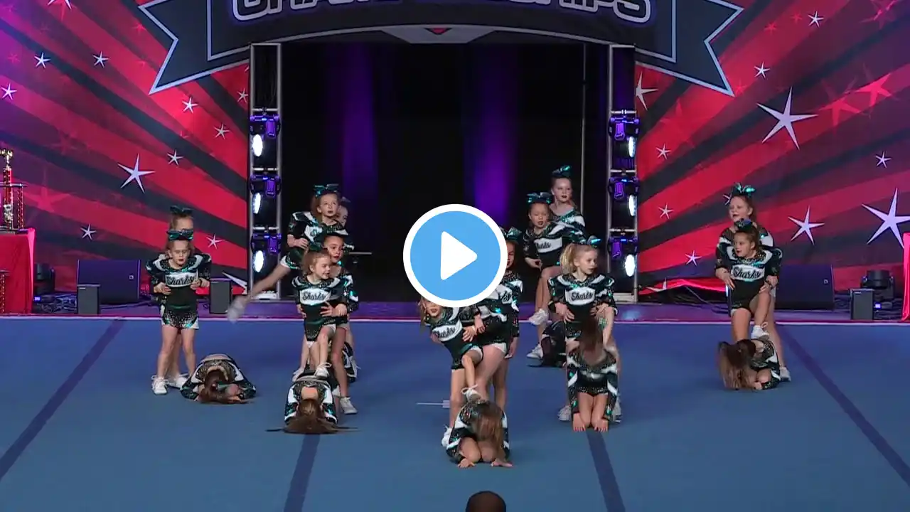 Cheer Sport Lemon Sharks   Mini Prep 1