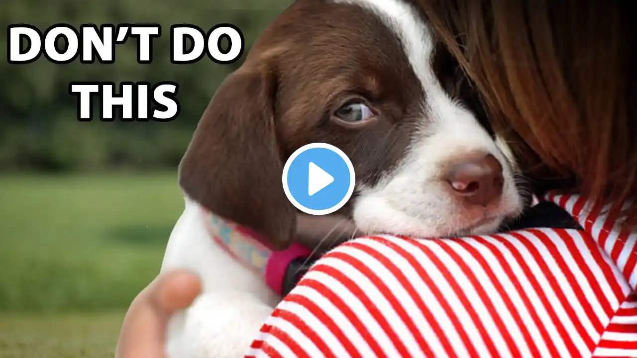 13 Things Dogs Hate That Humans Do