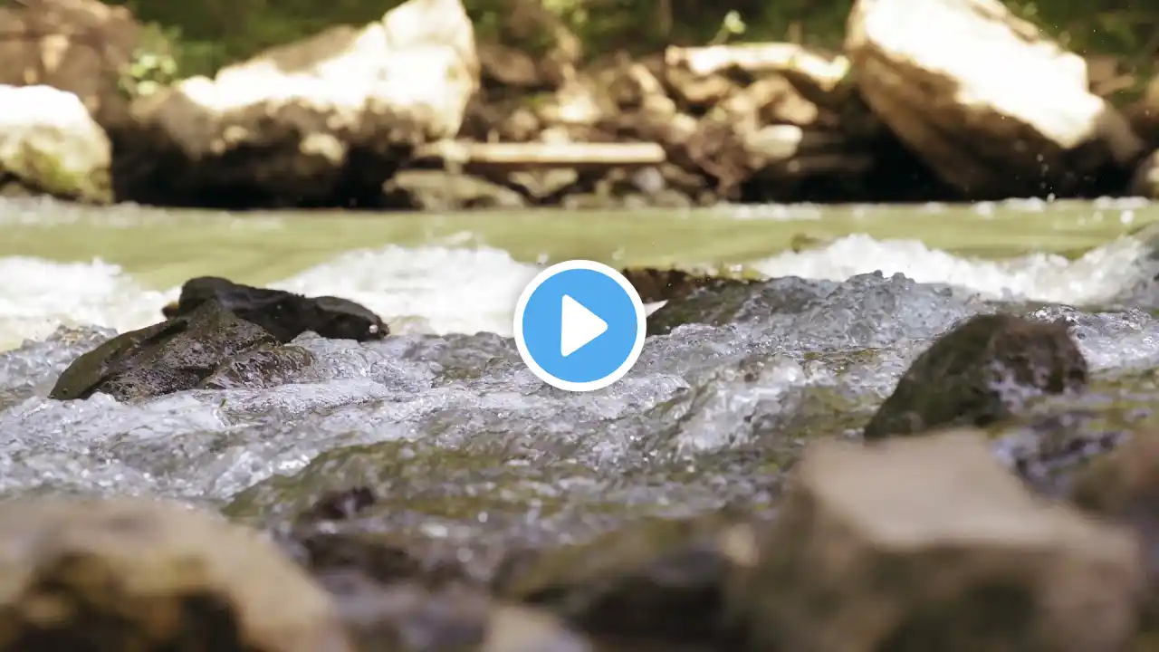 Relaxing River Sounds - Peaceful Forest River-Gentle River, White Noise for Sleeping, Study.