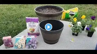 Layering Spring Bulbs in a Small Container