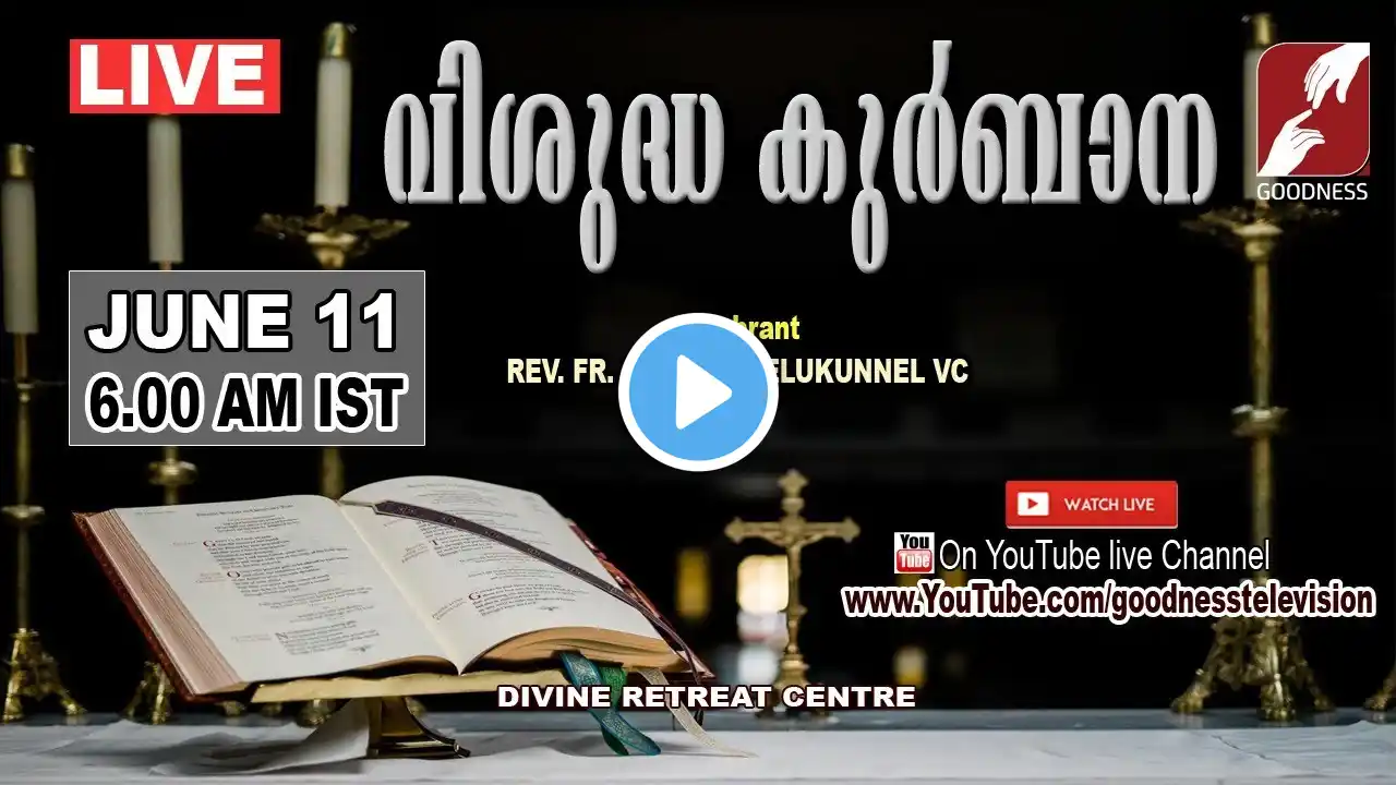 HOLY MASS LIVE @ 6 AM | 11 JUNE | FR GEORGE MELUKUNNEL V C | വിശുദ്ധ കുർബാന GOODNESS TV