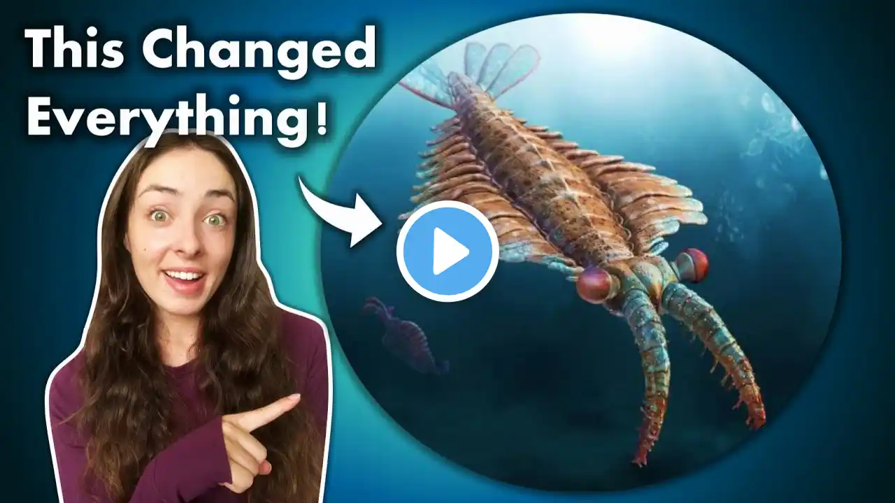 The First Apex Predators on Earth (that we know of)! 🦐 GEO GIRL