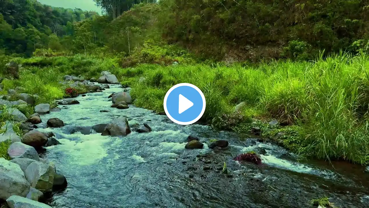 Relaxing River Sounds with White Noise for Sleep and Deep Relaxation Embrace Nature's Serenity