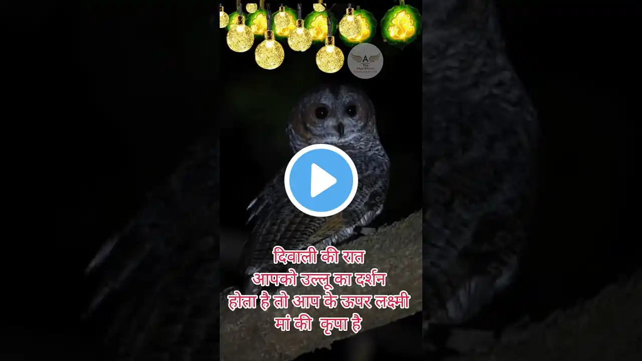 दिवाली की रात उल्लू के दर्शन #youtuberlover #musicgenre #love #matarini #viral #viralreel #yt