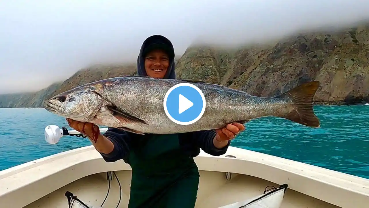 Catalina Island White Seabass Fishing! (Camping, Catch, Clean and Cook) Part 2 of 3