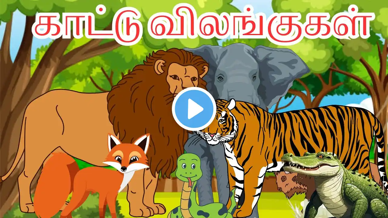 Kattu vilangugal🦁|காட்டு விலங்குகள்|Wild Animals Name In Tamil|Learning Forest Animals Names