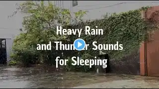 💤 Thunderstorm & Heavy Rain Sounds 🌩️ | Sleep Instantly, Relax & Relieve Anxiety