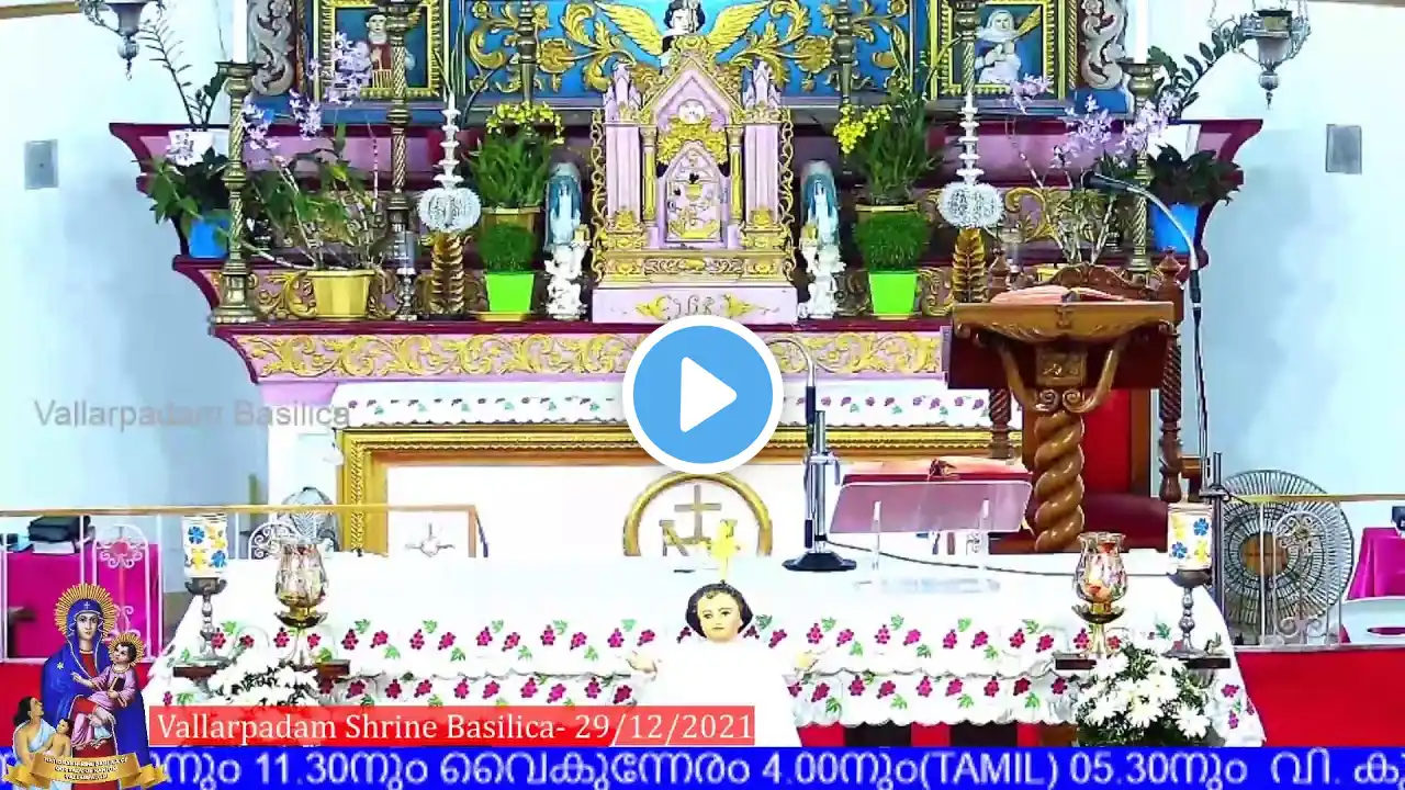 LIVE HOLY MASS  || VALLARPADAM BASILICA || 29 DEC 2021 - 05.30PM