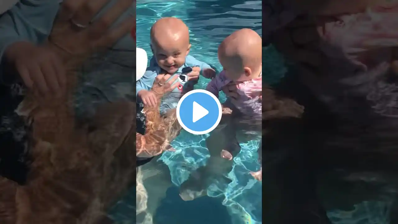 Twins Swimming Underwater Together #happybaby #swimmingbaby #twins #swimming #familytime