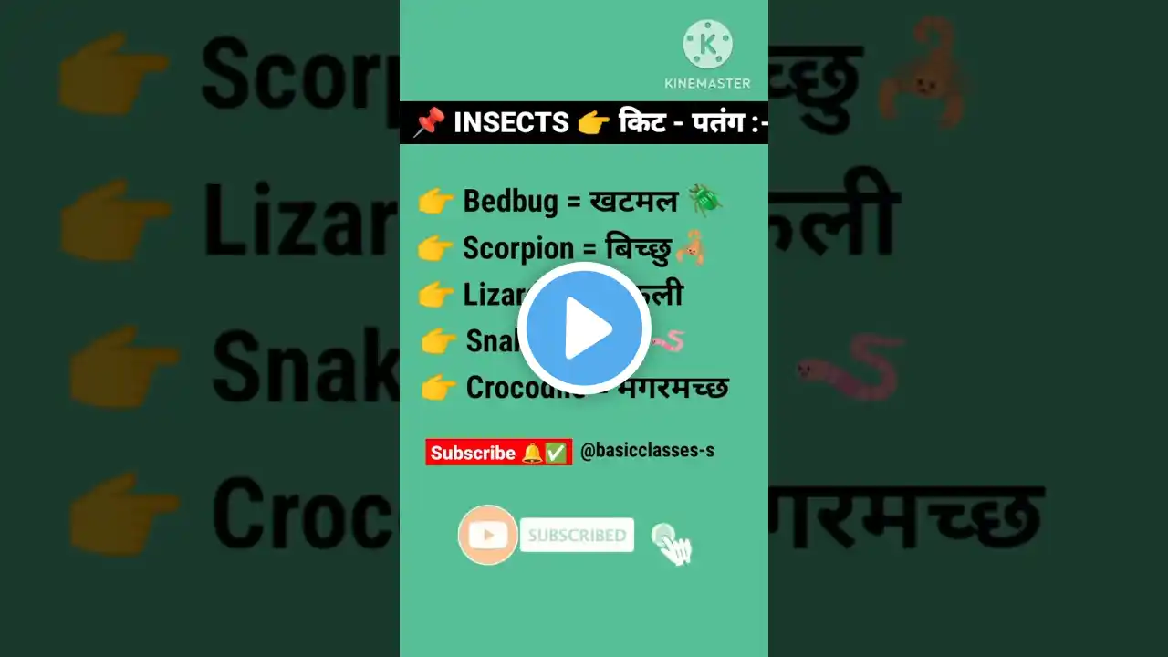 #insectsworld #englishwordmeaning #englishvocabularywords #viralshort #viralvideo #insect #treand