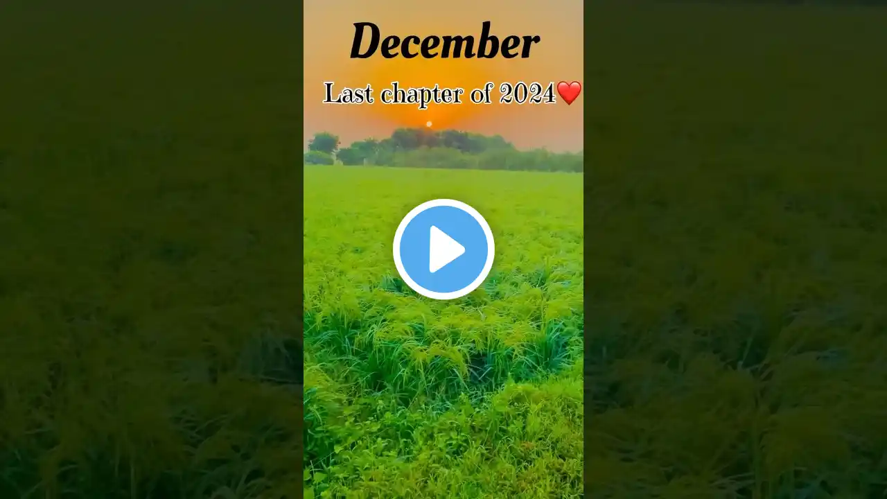 Last December❤️😘📌#viralshorts #farmer #nature #sun #kisan #मोसम #lastdecember last December #sunset