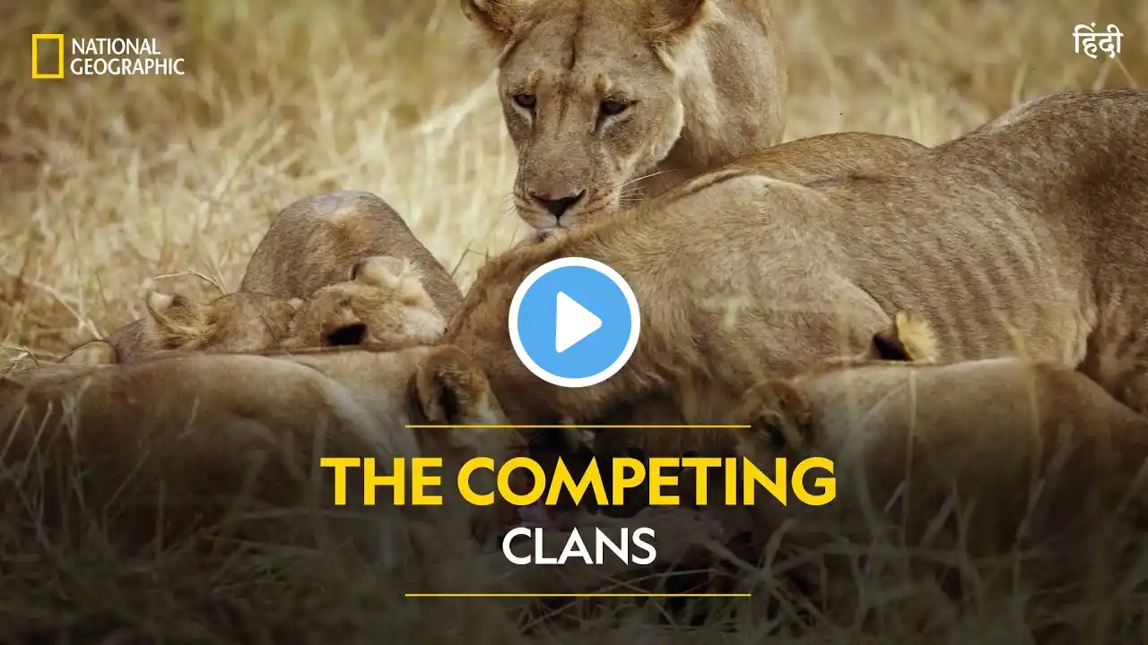 The Competing Clans | Savage Kingdom | हिन्दी | Full Episode | S3-E5 | National Geographic