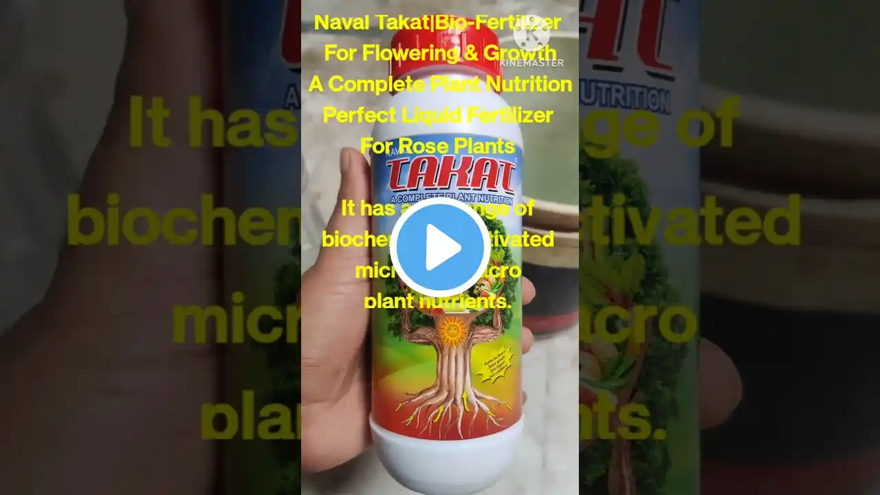 Naval Takat|Bio-Fertilizer For Flowering & Growth #shorts #shortsfeed #viral #gardening