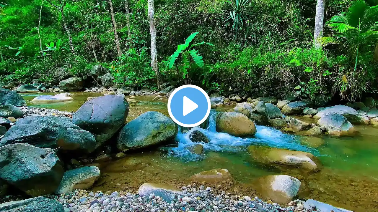 Beautiful Mountain River Flowing Sound. Forest River, Relaxing Nature River Sounds Sleep 12 hours
