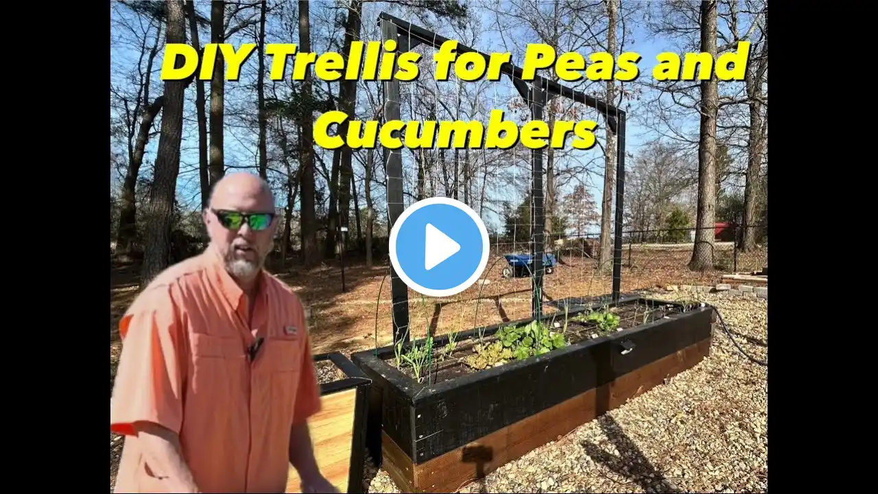 "DIY Garden Trellis for Peas & Cucumbers: Step-by-Step Guide"