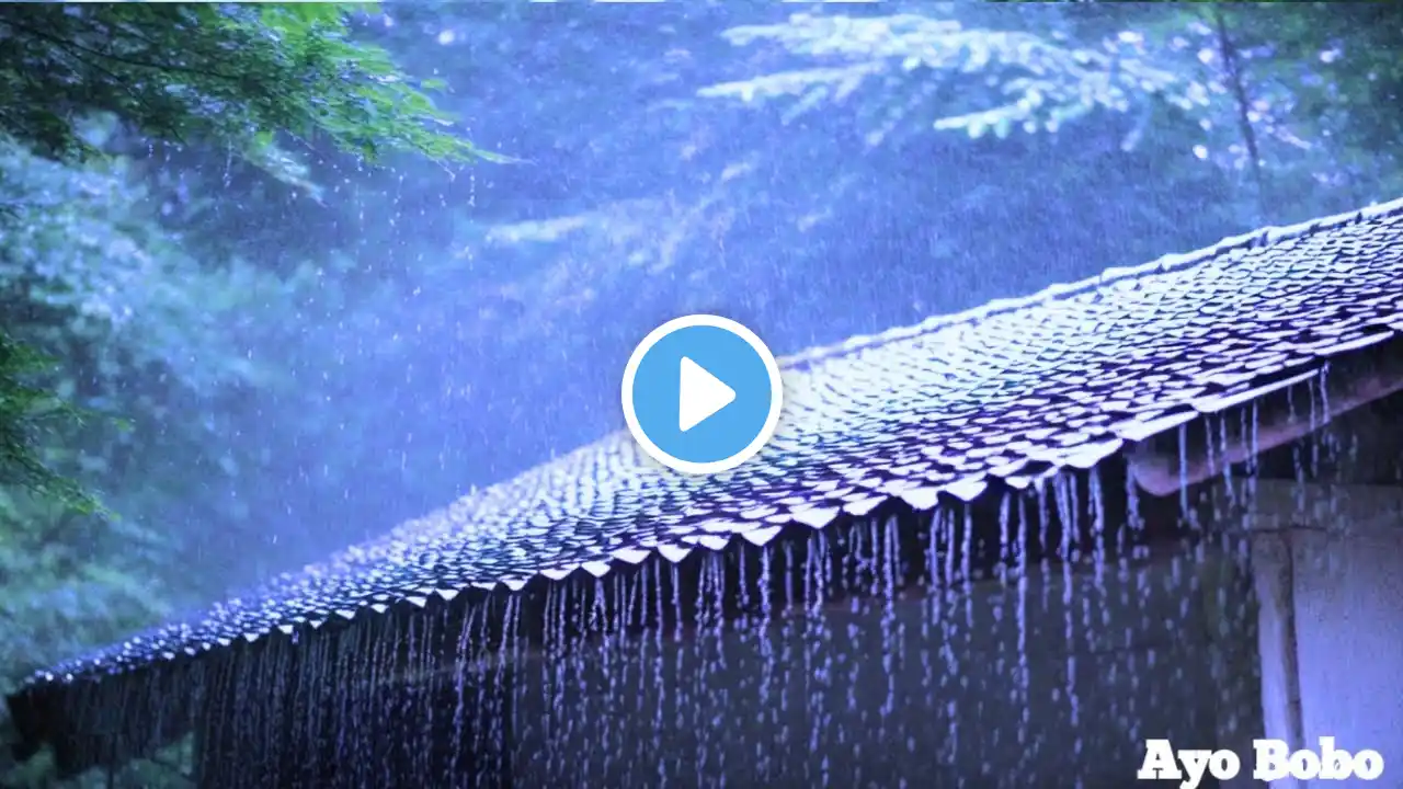 Heavy Rainfall & Thunder in the Forest: Relaxing Sounds for Restful Sleep