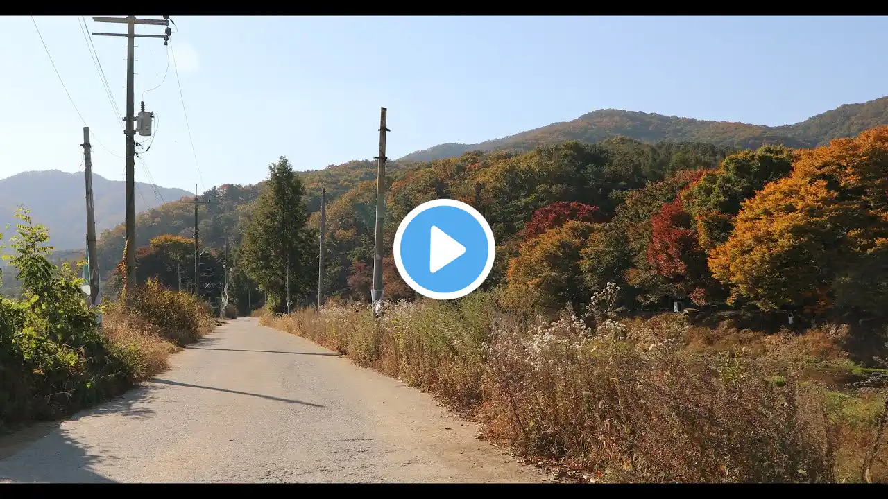 #4K_무료영상소스 _#고향,시골길,들꽃,가을바람,#힐링,#김대정,#4K_free_videosource