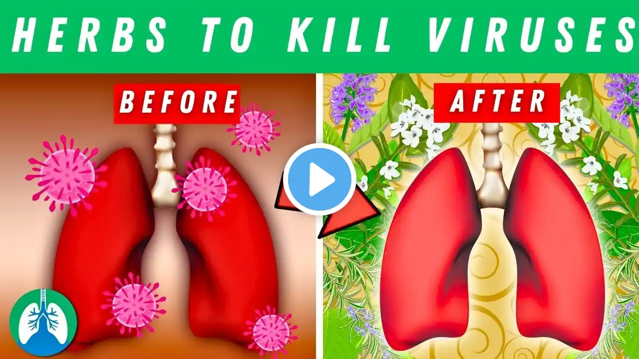 Top 10 Herbs for Lung Health, Clearing Mucus, COPD, and Killing Viruses