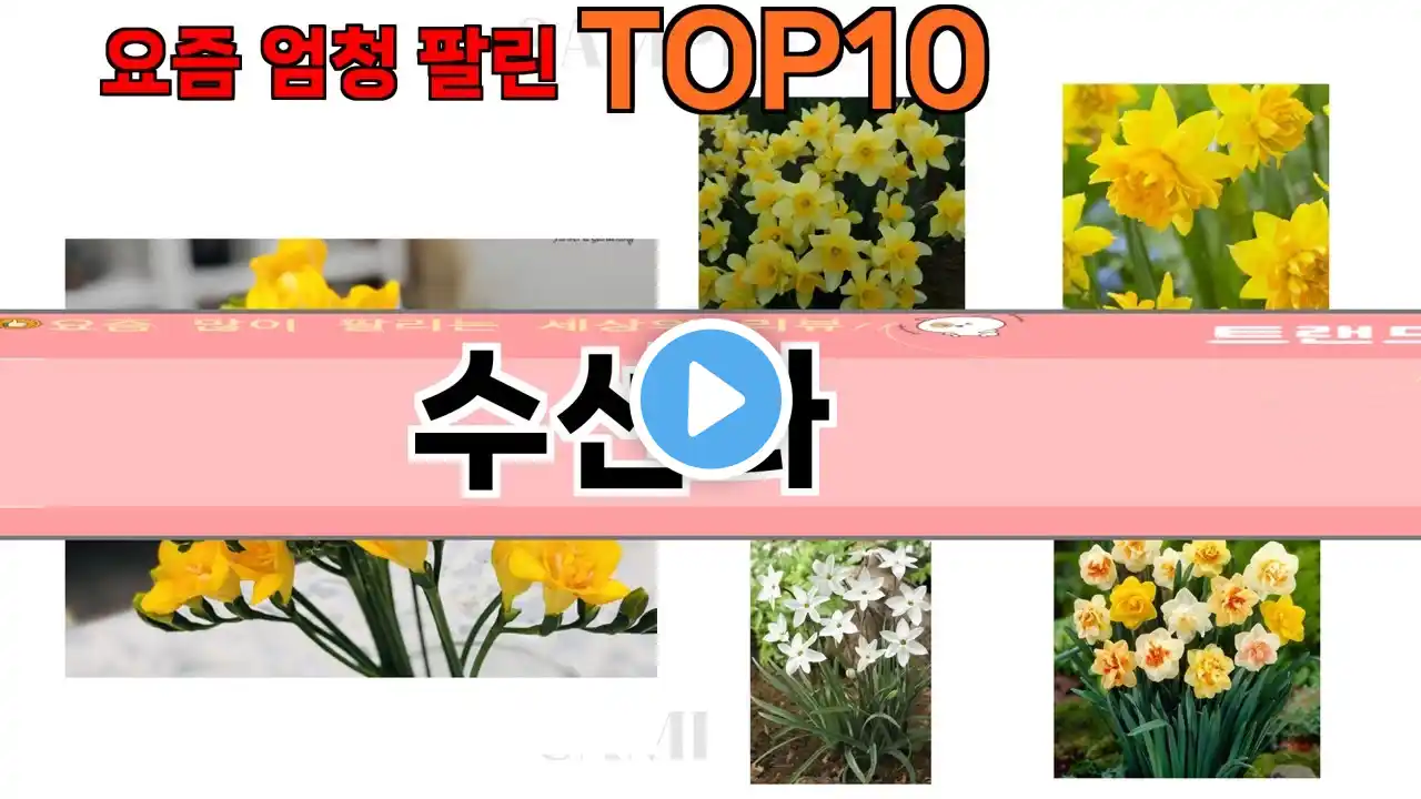 가장 많이 팔린 수선화 추천 Top10!