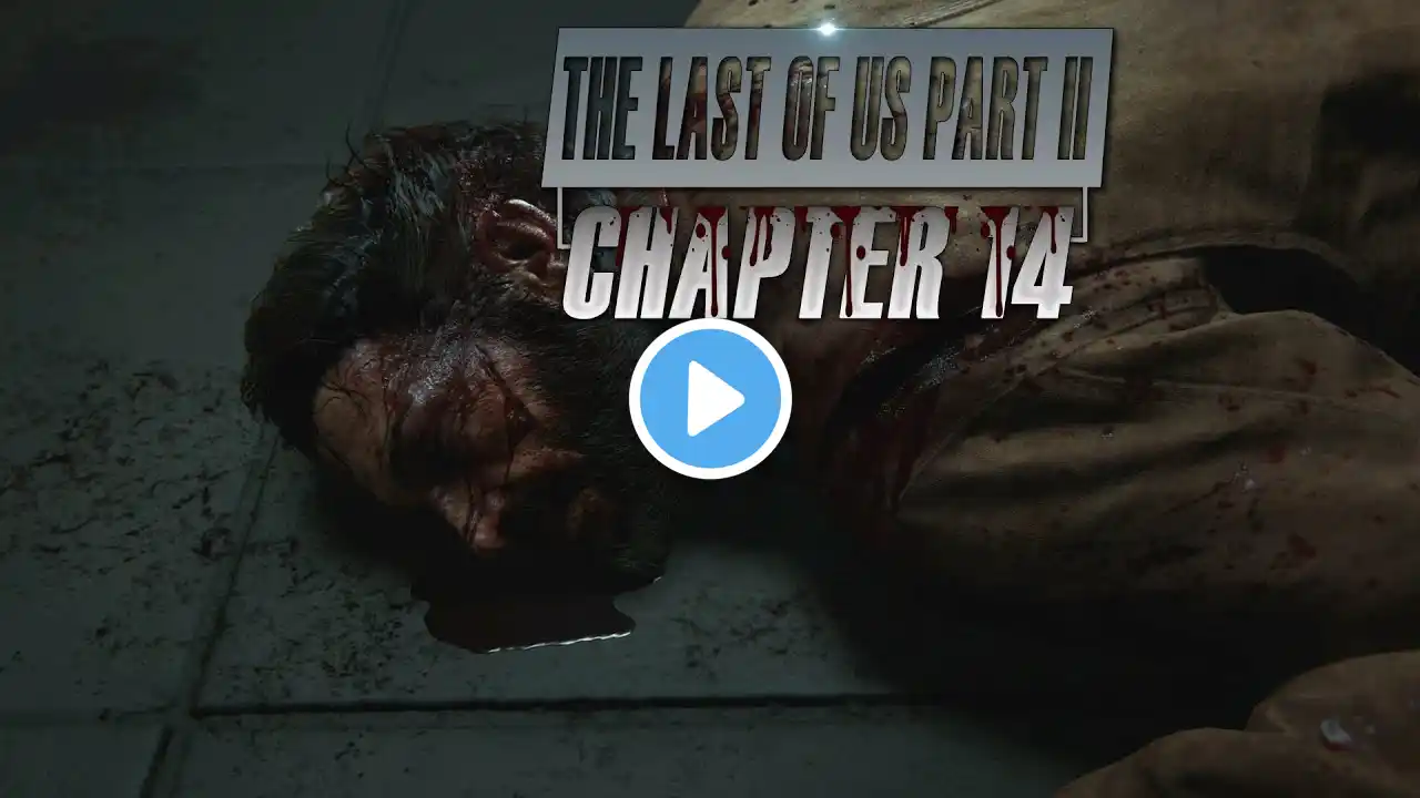 The Last OF US Part 2 Chapter 14 FULL GAME -Hard Difficulty (No Commentary)