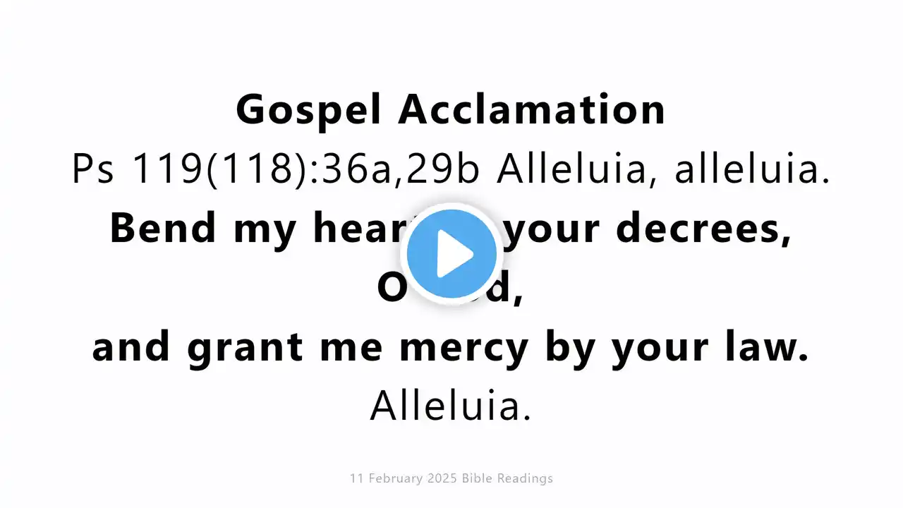 11 February 2025 Catholic Mass Bible Reading