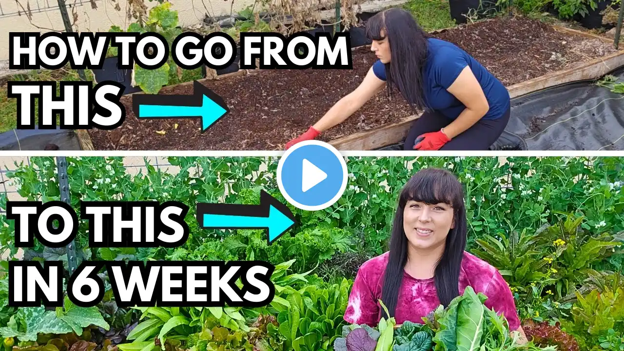 How To Plant A Raised Garden Bed: Step-By-Step With Before & After