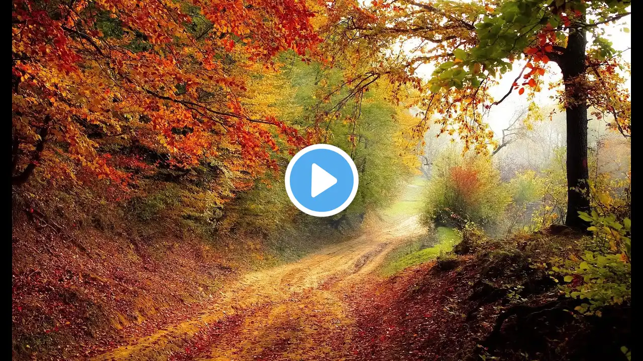 Relaxing Peaceful Music relaxing music stress, anxiety and depressive conditions, heals.