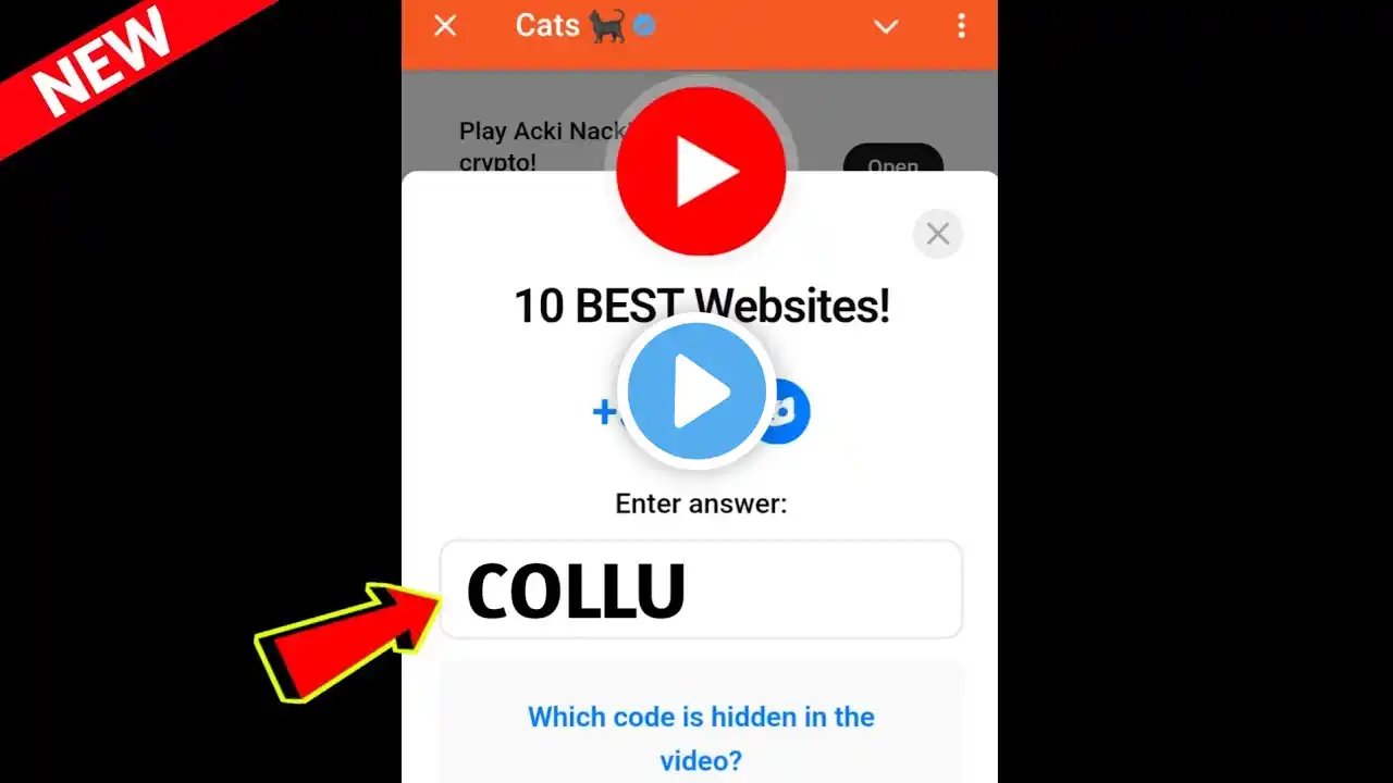 10 BEST Websites! Cats Code | 10 BEST Websites! cats video code today