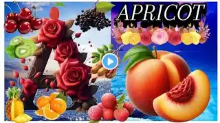 Learn ABC | Kids Learning | ABC Song | Alphabets songs || ABC Kids Learning ||@Abckidslearning316