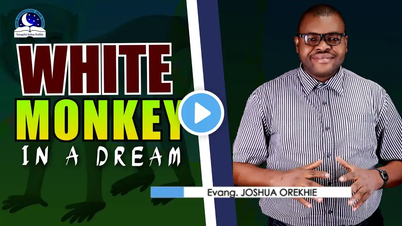 White Monkey Dream Meaning - Spiritual Meaning from Evangelist Joshua