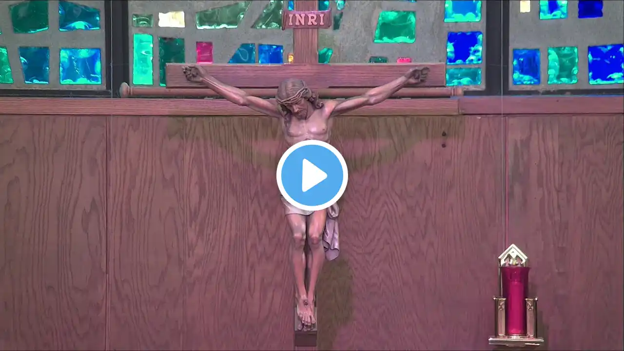 Misa Diaria en Español | Daily Mass in Spanish | October 12, 2022