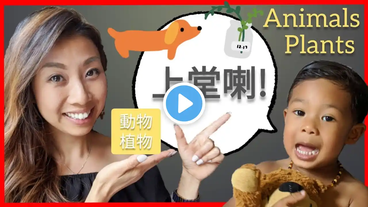 plants and Animals in Cantonese Chinese 小朋友 學廣東話 粤語 中文 ( Animals 動物 vs Plants 植物 )