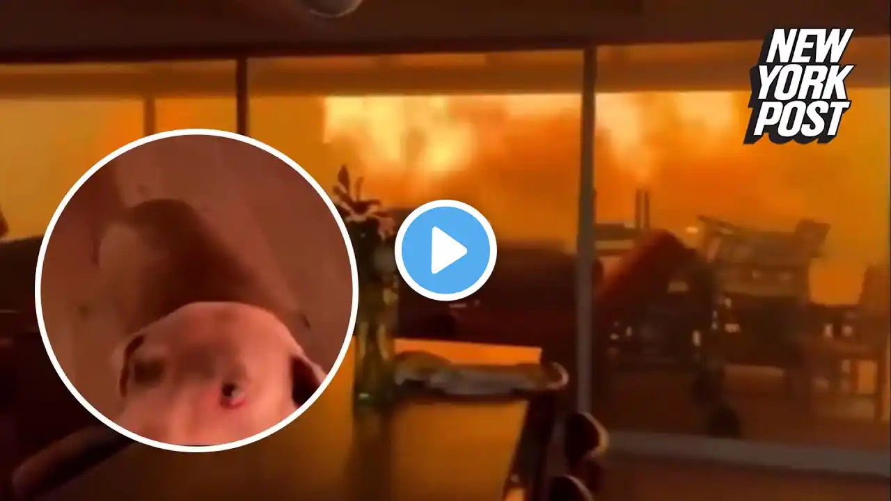 Nightmarish video shows two men and a dog trapped in home being engulfed by wildfire