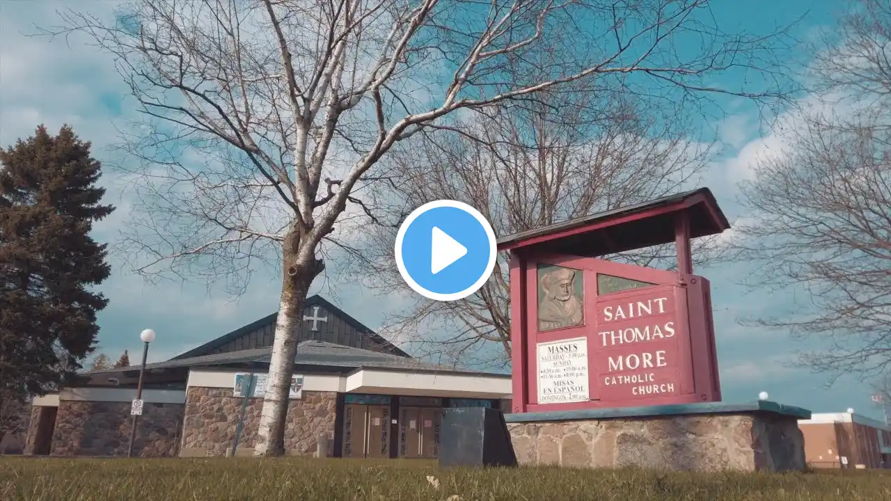 (Live) SUNDAY MASS - 22nd Sunday in Ordinary Time at St. Thomas More Parish, Scarborough, ON CANADA