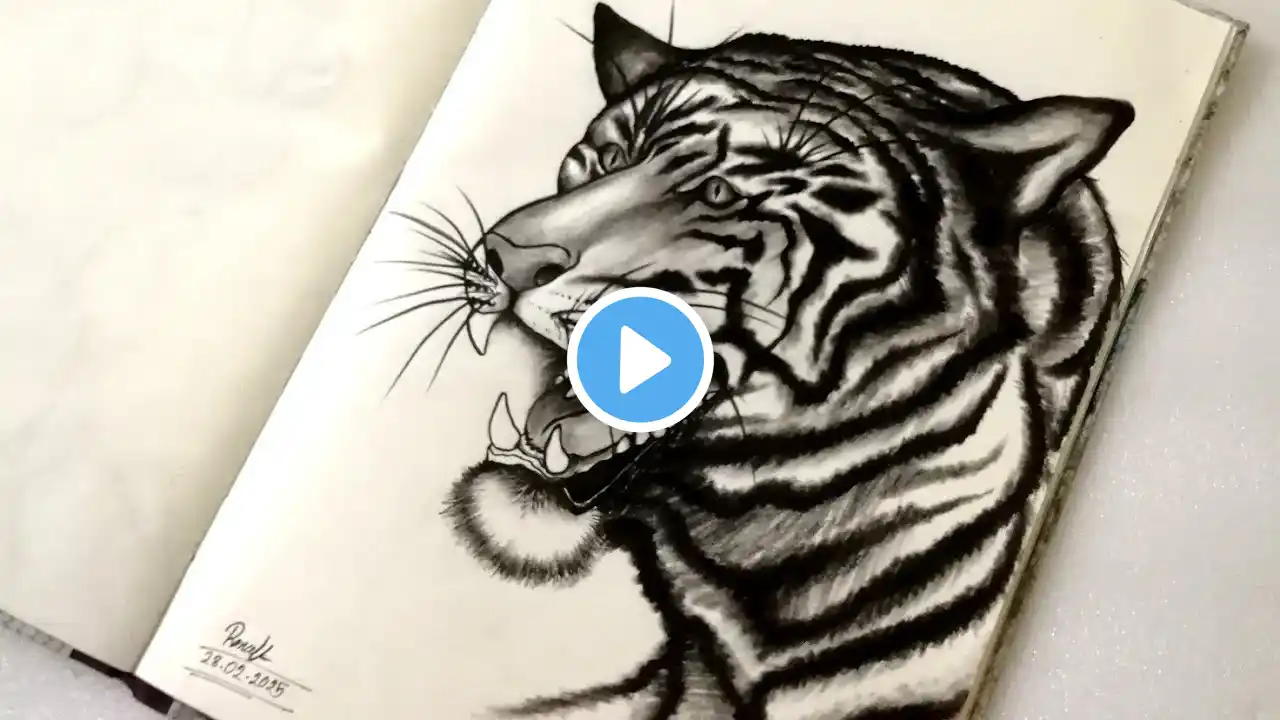 How to draw a Tiger step by step ।। Pencil drawing ।। Easy Tiger drawing for beginners