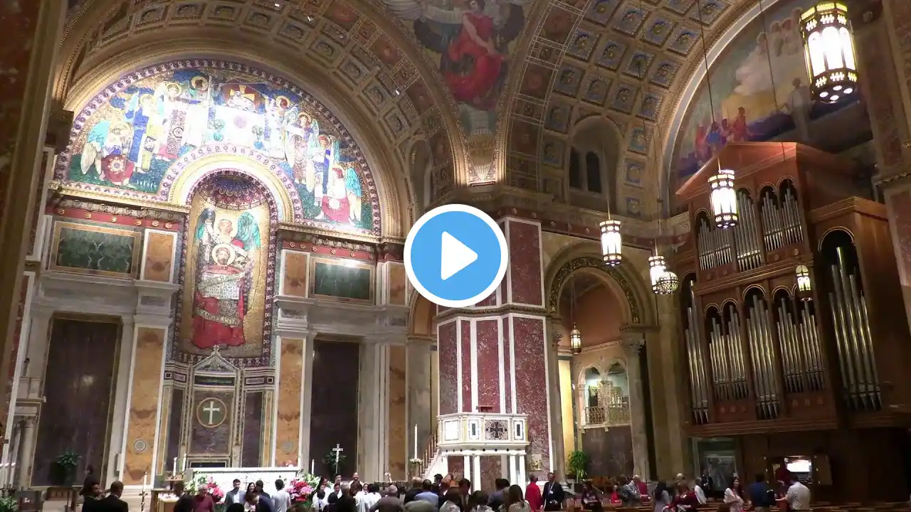 Easter Vigil Mass 2022 | Holy Saturday | Cardinal Gregory | Washington, DC, USA