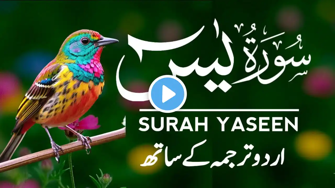 Surah Yaseen | Surah Yaseen With Urdu Translation | Episode - 175