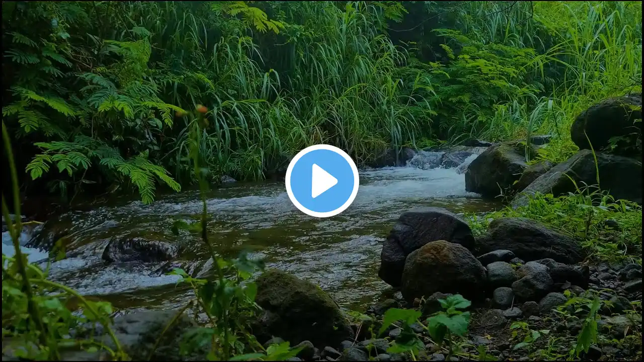 Relaxing River Sounds: Calm Your Mind & Body for Sleep