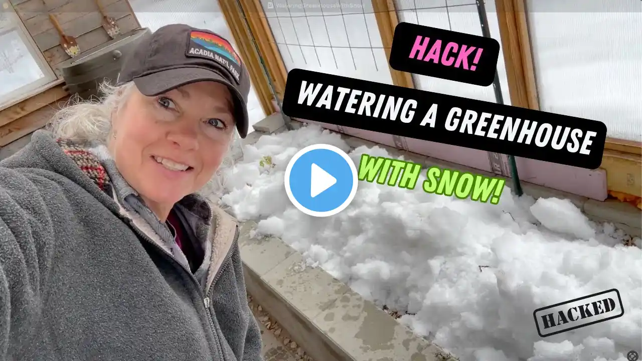 Using Snow to Water My Greenhouse | Early Spring Garden Prep ❄️🌱