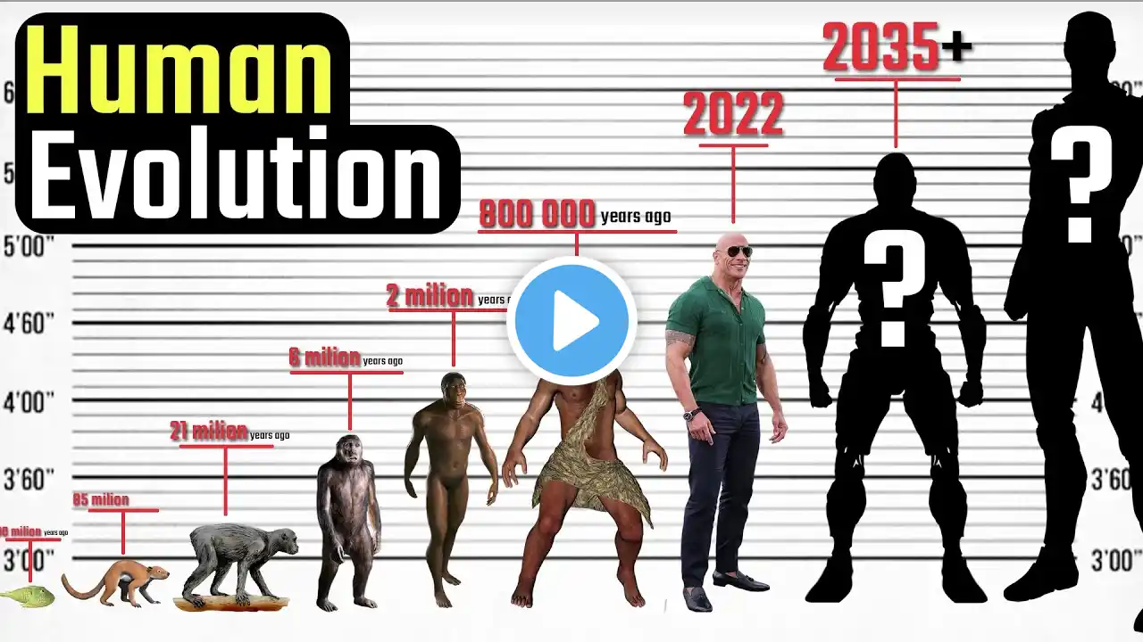 Human Evolution. From the Deep Antiquity to the Distant Future