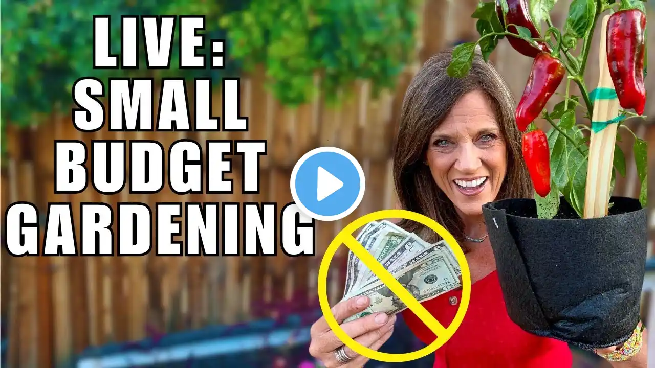 🍅LIVE: Gardening on a Small Budget:  Spend Less $, Grow More (REPLAY)