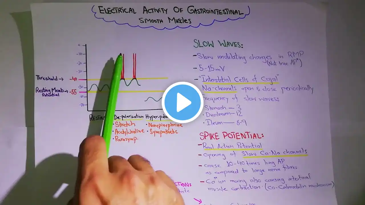 Electrical activity of gastrointestinal smooth muscle. Chapter 63 part 2. Guyton and Hall Physiology