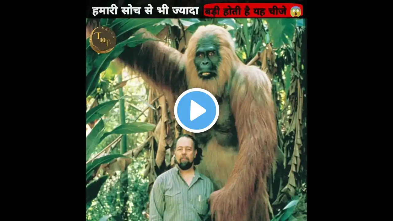 Things Bigger Than You Think - देख कर होश उड़ जाएंगे | The Fact |#shorts #ytshorts #amazingfacts