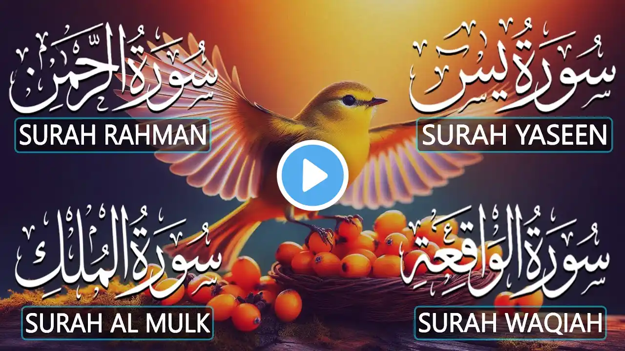 Most Beautiful Surah Yaseen (Yasin) | Surah Rahman | Surah Waqiah | Surah Mulk |