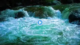 Mountain stream flowing, Forest river stream, Flowing water, white noise for sleeping