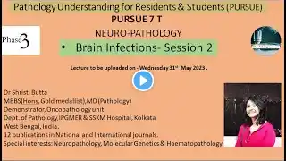 Pursue 7 T  : NEURO-PATHOLOGY-  Brain Infections- Session 2