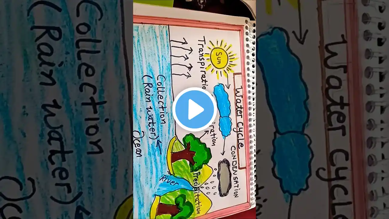 how to draw water cycle in easy way #watercycle #shorts #science #sciencedaydrawing #scienceproject