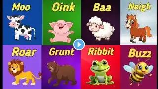 Animals sound song | Animals name and their sound | sound Animals song | safari animal song |Animals