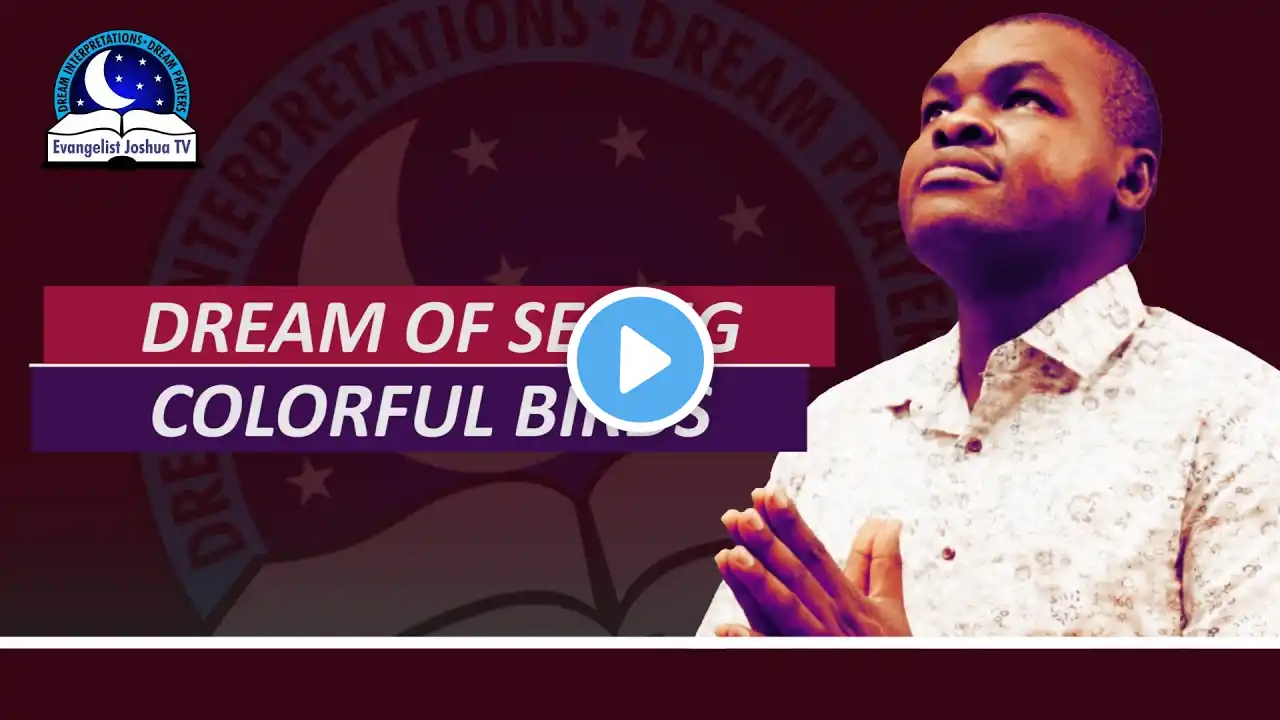 Dream About Seeing Colourful Birds - Spiritual Meaning from Evangelist Joshua