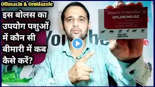 Oflokind-OZ Bolus||Ofloxacin & Ornidazole Use in Animals||पशुओं को कौन सी बीमारी में कब कैसे दें